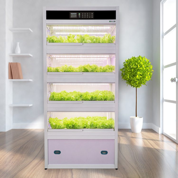 家庭陽(yáng)臺(tái)無(wú)土栽培 智能立體種植系統(tǒng)與信息技術(shù)服務(wù)的融合